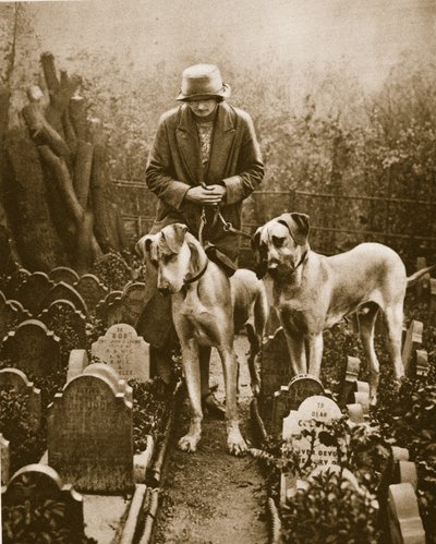 Two Great Danes at a dogs cemetery, Victoria Gate, near Marble Arch by English Photographer